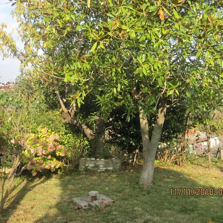 Villa Rena *